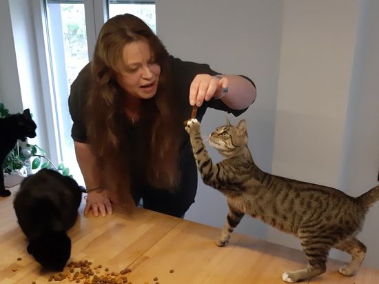 Engagiert sich für verwilderte Katzen: Petra Gerter aus Neubärental investiert wie viele andere Helfer in der Gemeinde Zeit und Geld für Streuner. Einige Tiere leben fest bei ihr zuhause. 
