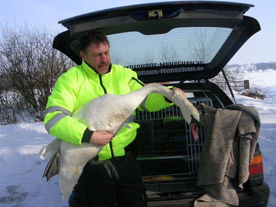 Ein Herz für verletzte und kranke Tiere: Uwe Lässig, Gründer des Tierrettungsdienstes UNA, hat auf seinen unzähligen Einsätzen in den vergangenen 14 Jahren schon einiges erlebt.