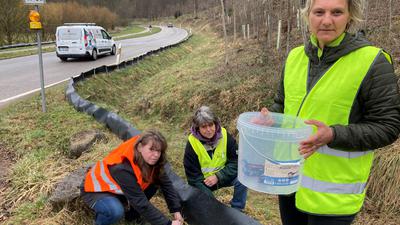 Drei Frauen bauen an einer Straße Schutzvorrichtungen für Amphibien auf