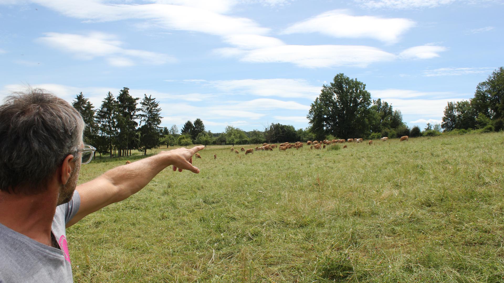 Landwirt Claus Bischoff zeigt auf seine Weide und Kühe.