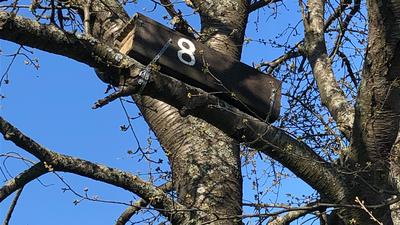 Nistkasten am Baum: Die hölzerne Box, die an einem Baum in Langensteinbach befestigt ist, gab Bernard Salay und seine Freundin beim gemeinsamen Spaziergang.