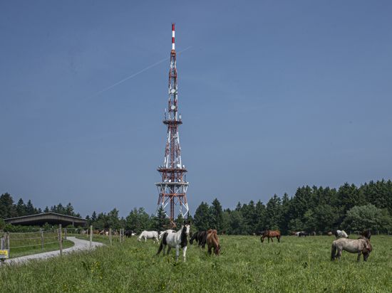 Etwa einen Kilometer vom Langenbrander Funkturm entfernt im Wald sind die zunächst vier Windkraftanlagen geplant.