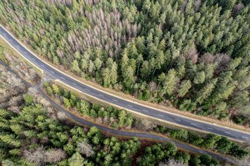 Luftbild von Straße und umgebendem Wald