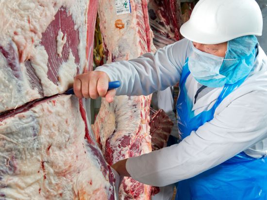 Abviertelung von Rindern bei Müller Fleisch in Birkenau