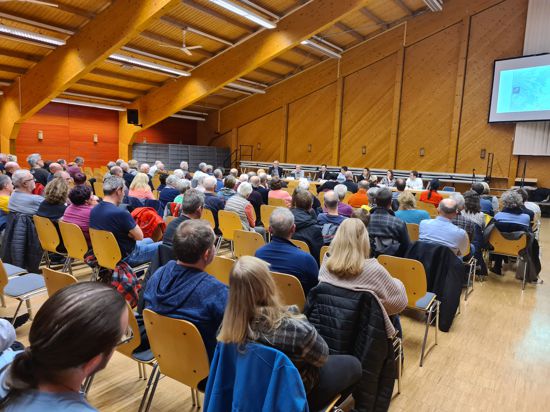 Rund 150 Interessierte kamen am Freitagabend in die Eisinger Bohrrainhalle, um sich über die Sanierung der Ortsdurchfahrt zu informieren.