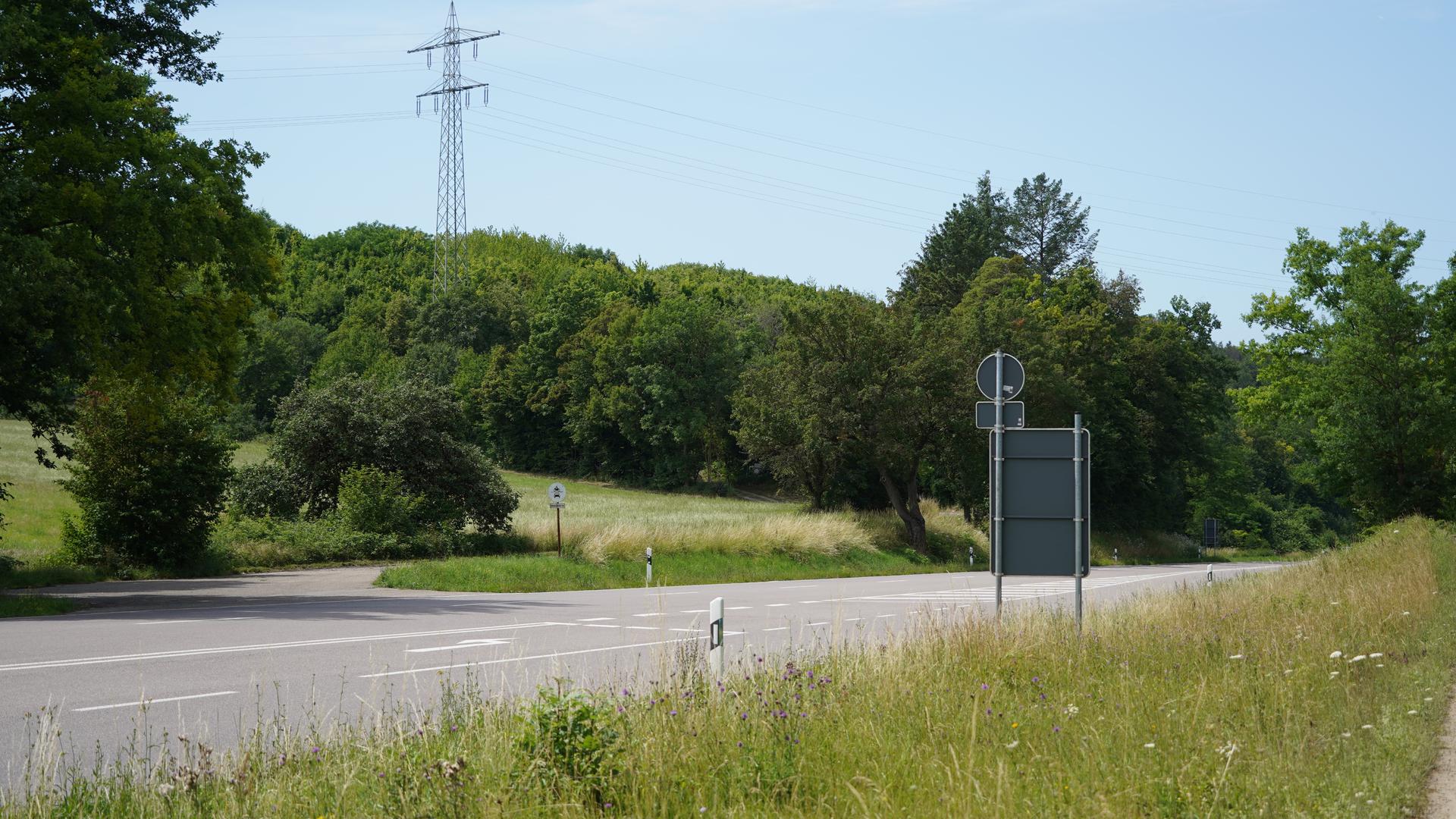 Möglicher Standort: Auf einer gemeindeeigenen Fläche im Gewann „Rothenberg“ links von der Bundesstraße 10 könnten sich frühestens ab 2026 drei Windräder in die Höhe recken.