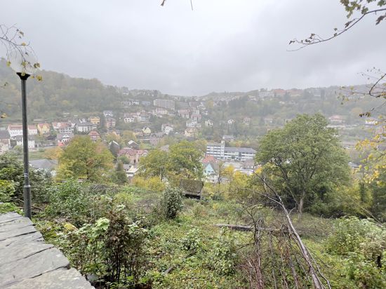 Dieses Grundstück am Fuß  des Schlossberges möchte der Eigentümer mit 13 Tiny Houses bebauen.