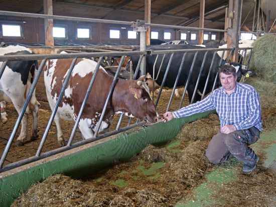 60 Milchkühe hat Landwirt Joachim Fuchs aus Neulingen. Er weiß: Sie reagieren auf die Zeitumstellung und geben in den ersten Tagen weniger Milch. 