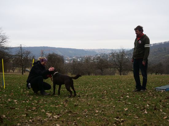 Momentan sind auf dem Hundesportplatz in Niefern nur Einzeltrainings möglich, wie hier mit Katja Wethlow, ihrem Hund Paul und Trainer Udo Walter. 