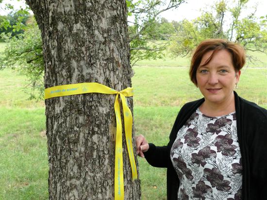 Silke Engelsberger bringt ein Gelbes Band an einem Apfelbaum an
