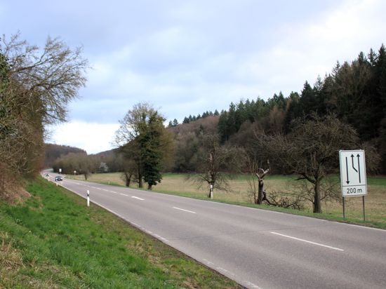 Tief im Wald, aber von weitem sichtbar könnten zwischen der B10 (Foto) und A8 an den Gemarkungsgrenzen von Kämpfelbach und Remchingen Untersuchungen der EnBW zufolge bis zu fünf Windräder entstehen. 