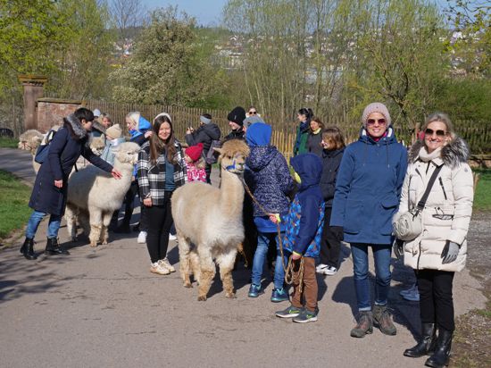 Mit den Alpakas auf die Strecke: Ukrainische Kinder konnten am Montag ein paar unbeschwerte Momente mit den Tieren vom Hofgut Buckenberg erleben. Organisiert wurde die Aktion von Carmen Reister und Frauke Janßen (rechts).