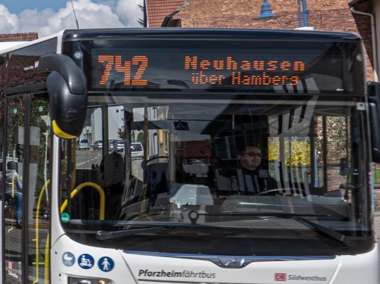 Busfoto zum Bericht über Schüler aus Neuhausen
