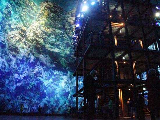 Asisi-Superlativ: Das Great Barrier Reef ist noch bis Frühjahr in Pforzheim zu sehen. Es ist 35 Meter hoch und 100 Meter breit – und damit das größte aller Panoramen des Künstlers.