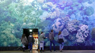 scheinen farblich fast mit dem von Yadegar Asisi gestalteten Bild des Great Barrier Reef zu verschmelzen - die Besucher genießen die Tatsache, dass die Ausstellung mit Beginn der Fasnachtsferien wieder täglich geöffnet ist. 