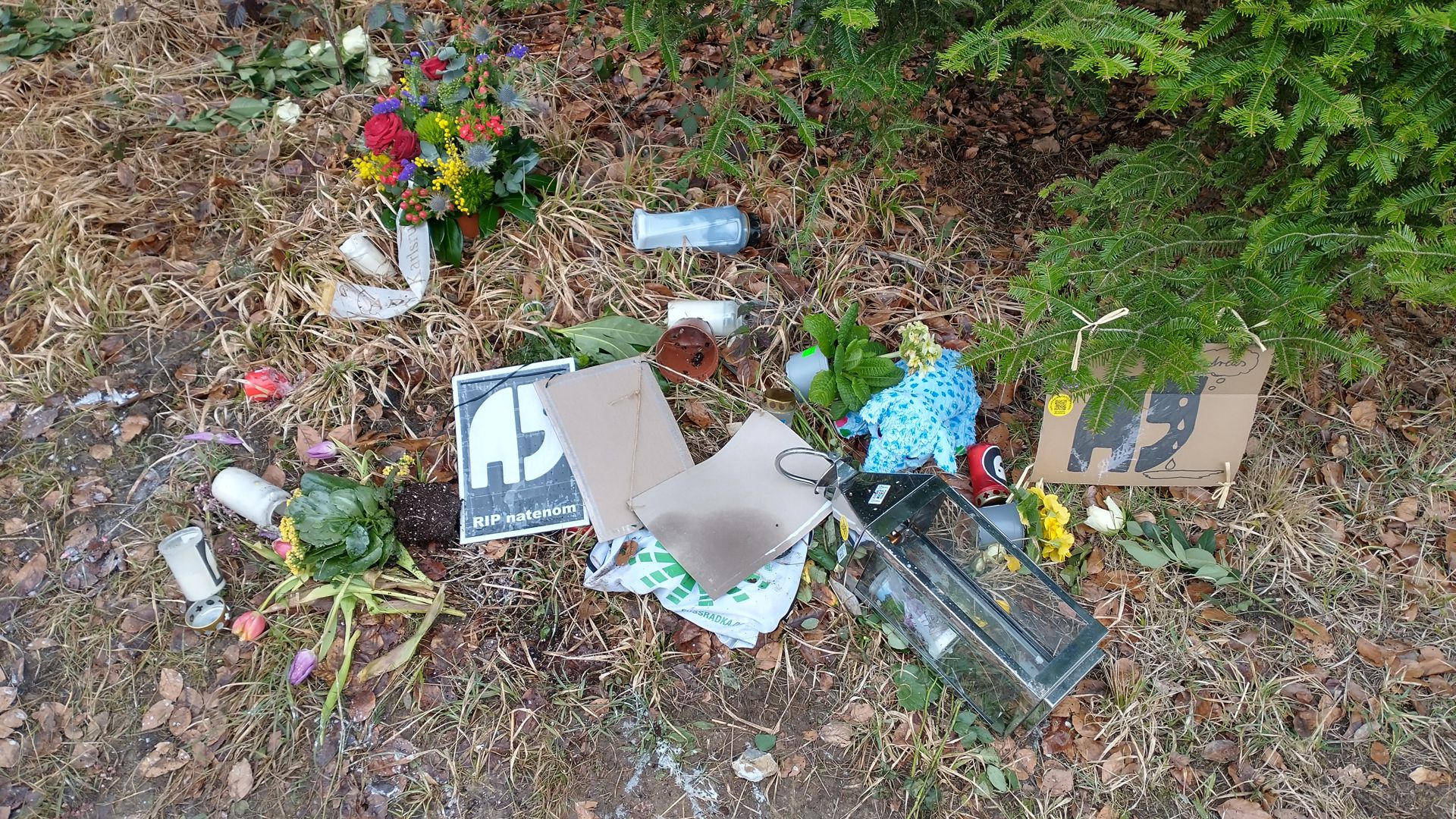 Unbekannte haben die Gedenkstätte für Andreas Mandalka zerstört. Der bundesweit bekannte Radaktivist ist am 30. Januar auf der Landesstraße bei Schellbronn tödlich verunglückt.
