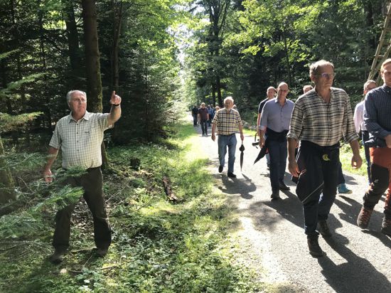 Mehrere Menschen laufen durch einen Wald, ein Mann zeigt mit dem Zeigefinger.