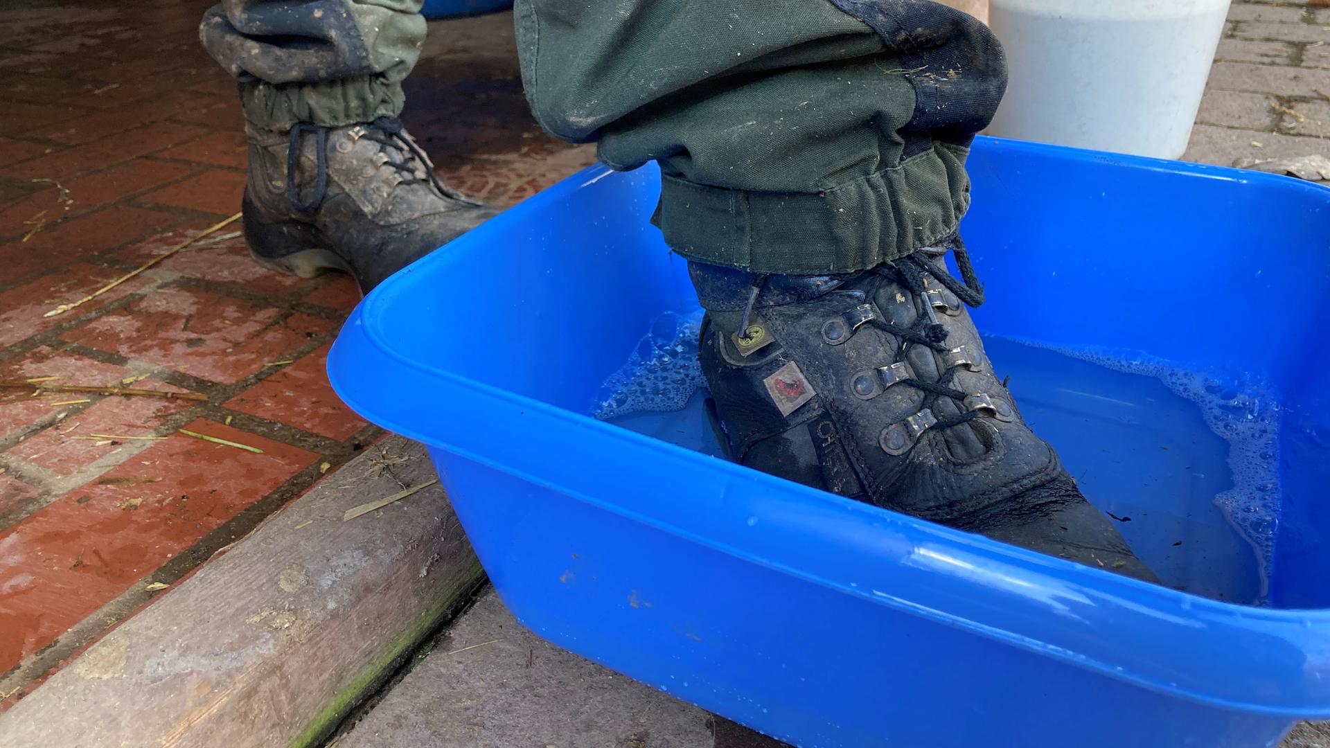 Ein Mitarbeiter des Tierpark Pforzheim desinfiziert seine Schuhe.  Dazu steigt er in eine mit Desinfektionsmittel versetzte Wasserwanne.