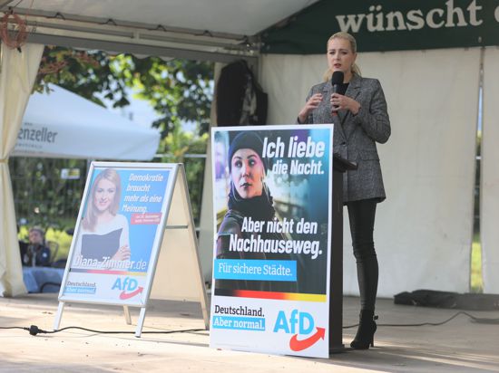 Die Pforzheimer AfD-Direktkandidatin Diana Zimmer spricht bei einer Wahlkampfveranstaltung im Enzauenpark.