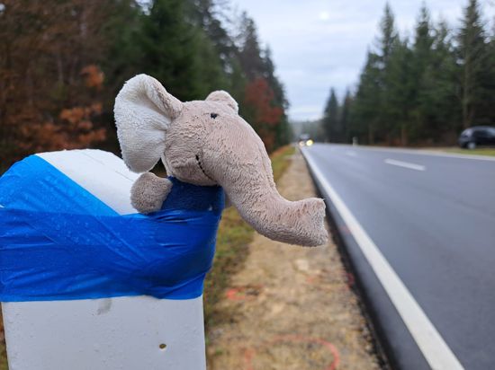 Der Elefant war Andreas Mandalkas Symbol. Freunde von ihm haben das Plüschtier am Unfallort an einen Leitpfosten geklebt. Auf der Landesstraße zwischen Neuhausen und Schellbronn starb der 43-Jährige nach einem Zusammenstoß mit einem Auto.