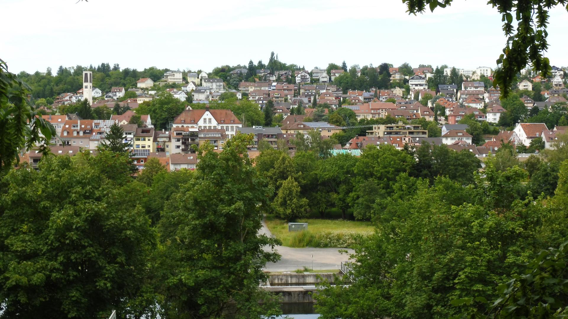 Blick aufs „Wittum“, das heute weitgehend bebaut ist, aber immer  noch ein beliebtes, ruhiges Wohngebiet ist.