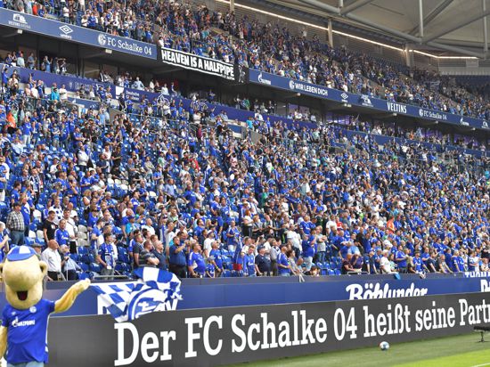Zuschauer-Comeback: Auf Schalke waren zum Saison-Auftaktspiel gegen den HSV 19.770 Fans in der Arena zugelassen. Die Profifußballbranche möchte aber bald mehr.