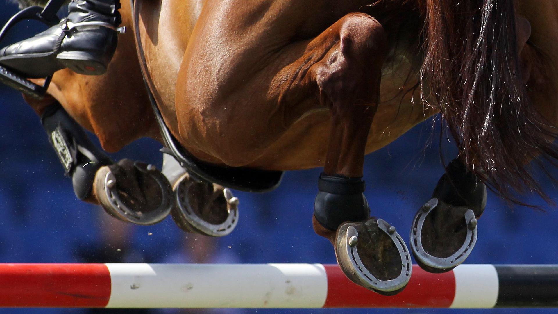 In Deutschland sind bereits zwei Pferde nach einer Infektion mit einer neuen Herpes-Variante gestorben.