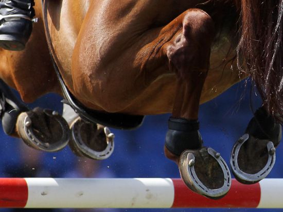 In Deutschland sind bereits zwei Pferde nach einer Infektion mit einer neuen Herpes-Variante gestorben.