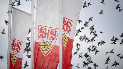 Flaggen mit dem Logo des VfB Stuttgart wehen im Wind.